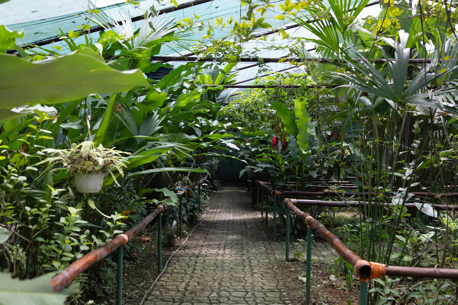 Paddelparadies auf dem Río Banano – Impression 7