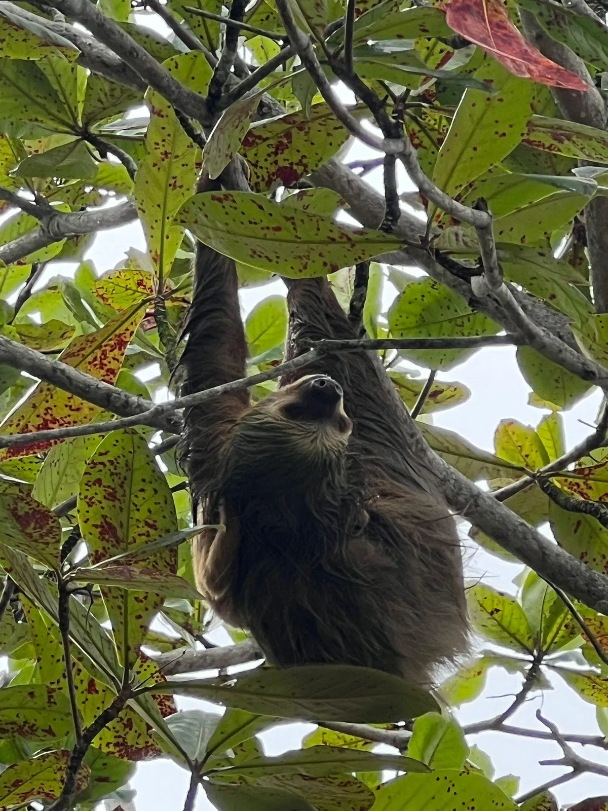 Tropische Bootsfahrt bei Puerto Limón – Impression 1