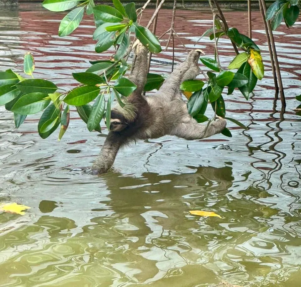 Paddelparadies auf dem Río Banano – Impression 2