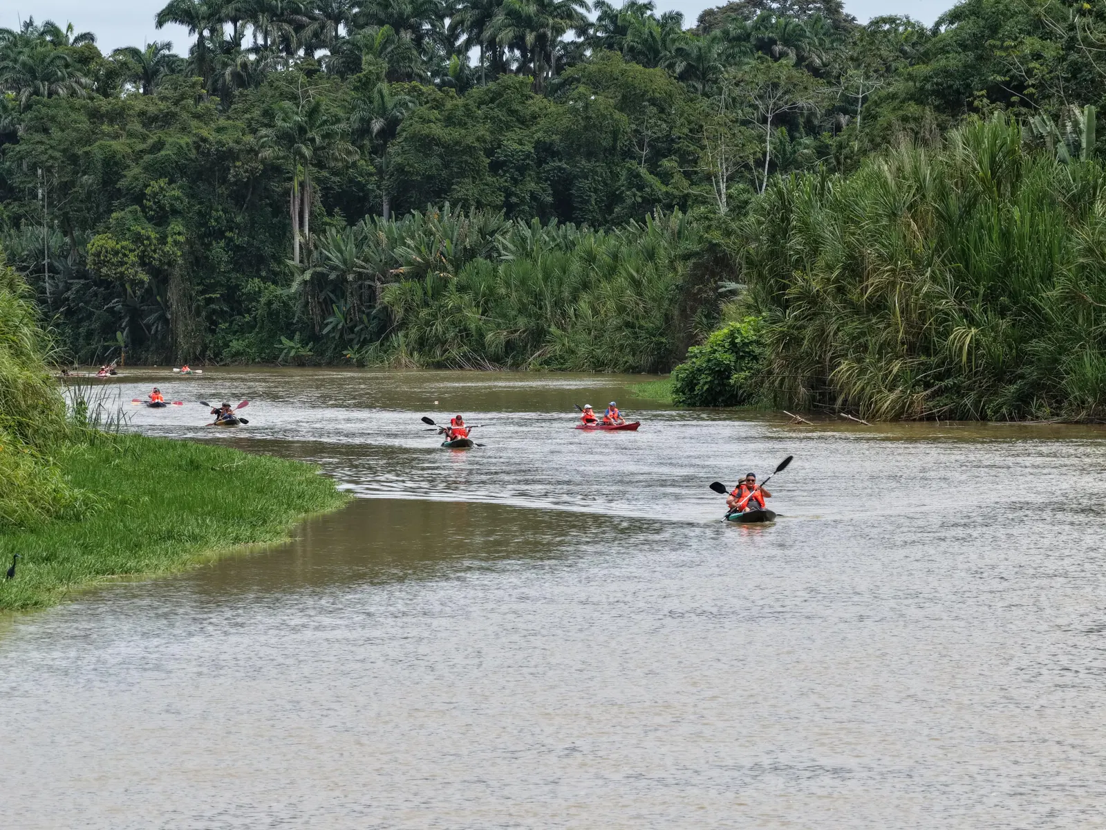 Paddelparadies auf dem Río Banano – Impression 1