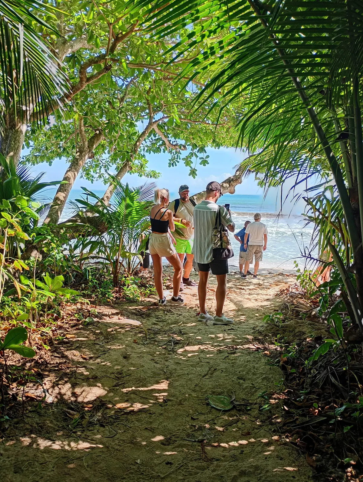 Karibik Expedition – tropische Tierbeobachtung